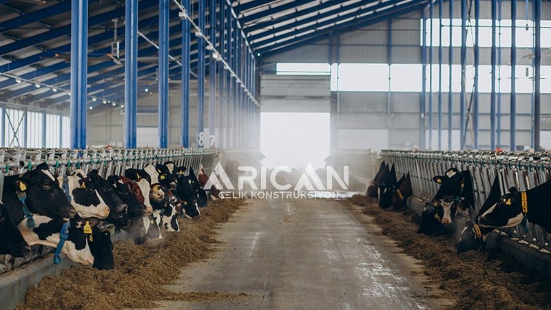 ciftlik-ahir-yapilmasi Çelik konstrüksiyon hayvan çiftliği, ahır yapımı